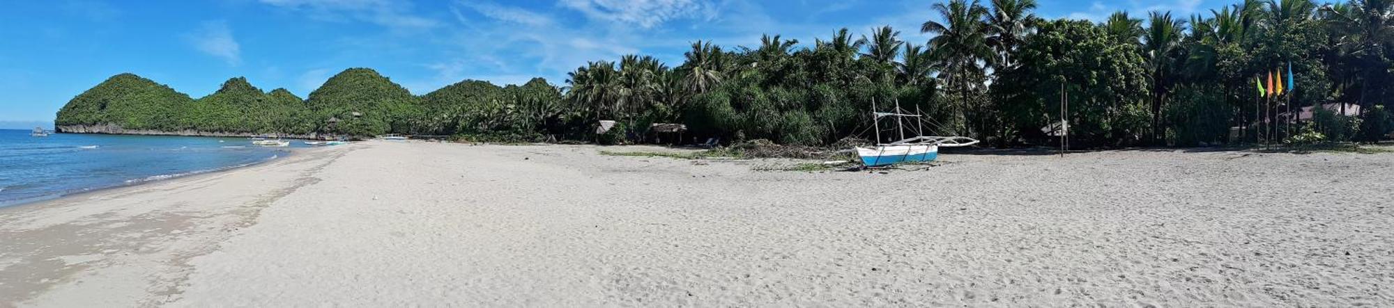 Big Bamboo Beach Resort Sipalay Ngoại thất bức ảnh