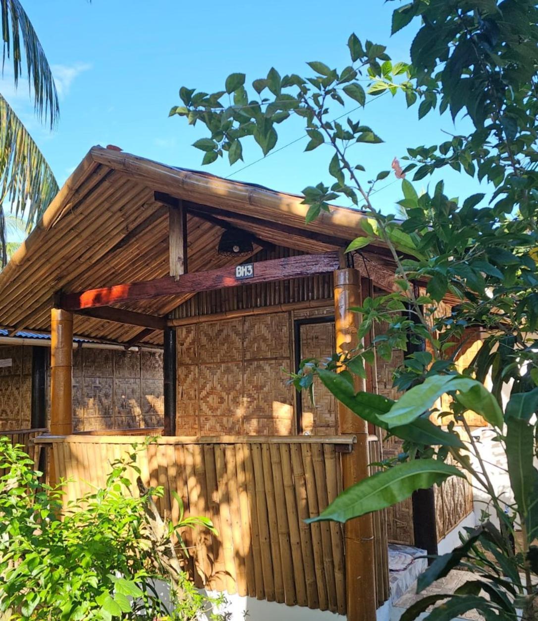 Big Bamboo Beach Resort Sipalay Ngoại thất bức ảnh
